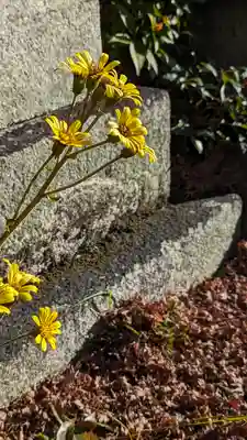 東北院(京都府)