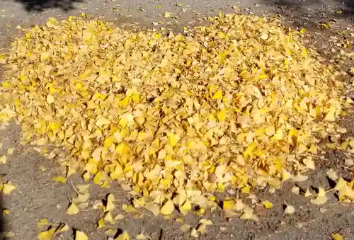 半田稲荷神社(東京都)