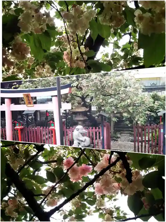柳森神社(東京都)