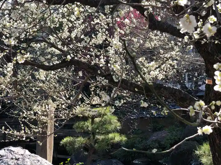 湯島天満宮の庭園
