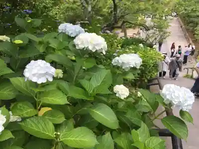 東慶寺(神奈川県)
