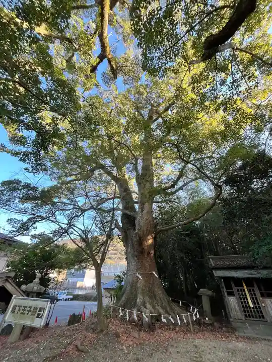 藤白神社(和歌山県)