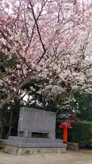 建勲神社の建物その他