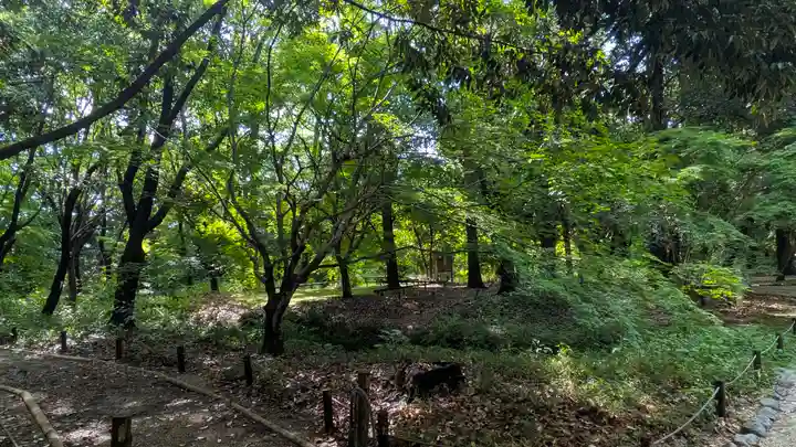 賀茂御祖神社(下鴨神社)(京都府)