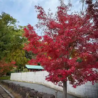 伊勢の国 四天王寺(三重県)