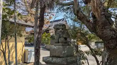 小名浜諏訪神社 ~海の鎮守様~の狛犬