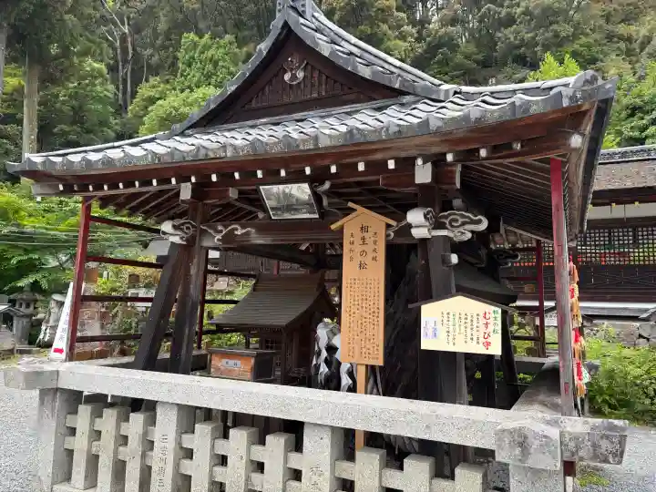 松尾大社(京都府)