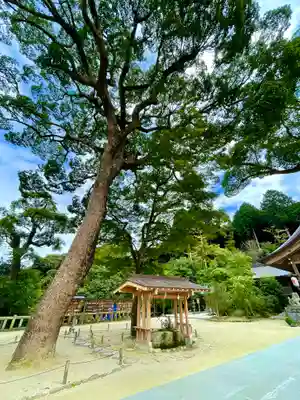 宝満宮竈門神社(福岡県)