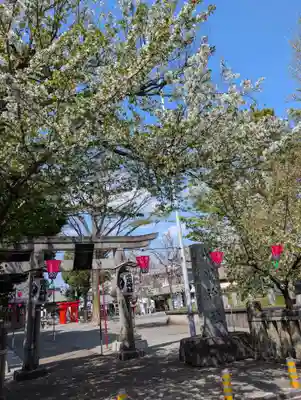 相模原氷川神社(神奈川県)