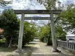 酒見神社の鳥居