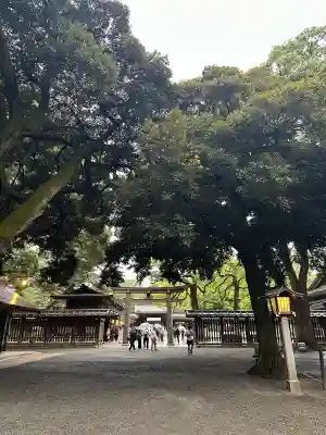 明治神宮(東京都)