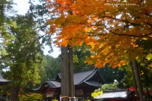 北口本宮冨士浅間神社(山梨県)