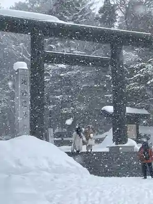 北海道神宮の鳥居