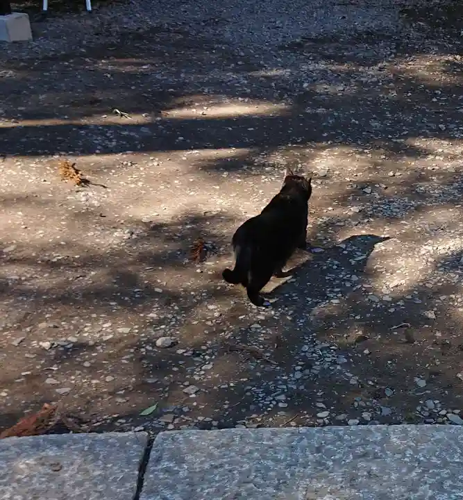 間々田八幡宮の動物