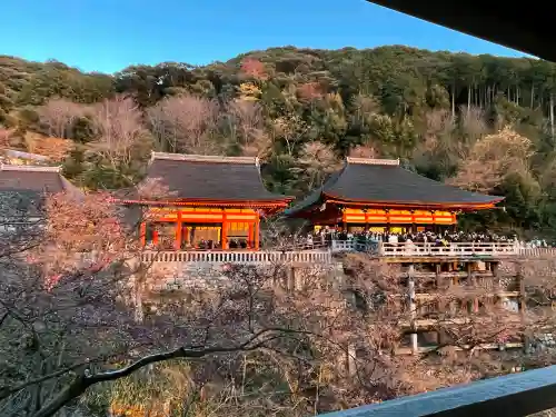 清水寺の{uncategorized: "未分類", other: "その他", undefined: "問題あり", building: "その他建物", grave: "お墓", sacred_gate: "鳥居", guardian: "狛犬", statue: "像", buddha: "仏像", history: "歴史", nature: "自然", garden: "庭園", animal: "動物", pagoda: "塔", temizu: "手水舎", mountain_gate: "山門・神門", sanctuary: "本殿・本堂", subordinate: "末社・摂社", art: "芸術", scenery: "景色", jizo: "地蔵", ema: "絵馬", goshuin: "御朱印", omikuji: "おみくじ", items: "授与品その他", amulet: "お守り", goshuincho: "御朱印帳", eats: "食事", festival: "お祭り", votive_dance: "神楽", shichigosan: "七五三参", wedding: "結婚式", experience: "体験その他", initially: "初詣", around: "周辺", anti_infection: "感染症対策"}