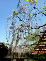 愛染院(東京都)