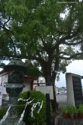 水戸東照宮(茨城県)