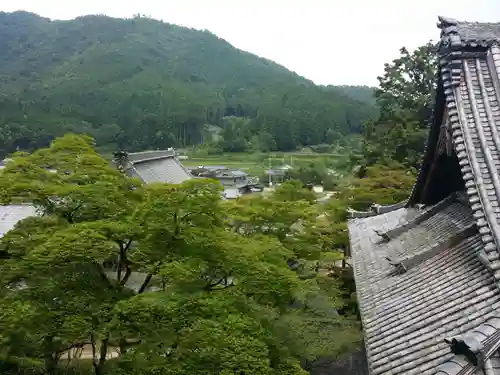 金剛城寺の景色