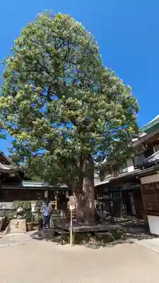 晴明神社(京都府)