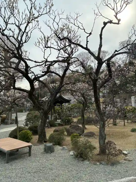 妙法寺の{uncategorized: "未分類", other: "その他", undefined: "問題あり", building: "その他建物", grave: "お墓", sacred_gate: "鳥居", guardian: "狛犬", statue: "像", buddha: "仏像", history: "歴史", nature: "自然", garden: "庭園", animal: "動物", pagoda: "塔", temizu: "手水舎", mountain_gate: "山門・神門", sanctuary: "本殿・本堂", subordinate: "末社・摂社", art: "芸術", scenery: "景色", jizo: "地蔵", ema: "絵馬", goshuin: "御朱印", omikuji: "おみくじ", items: "授与品その他", amulet: "お守り", goshuincho: "御朱印帳", eats: "食事", festival: "お祭り", votive_dance: "神楽", shichigosan: "七五三参", wedding: "結婚式", experience: "体験その他", initially: "初詣", around: "周辺", anti_infection: "感染症対策"}