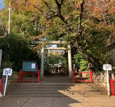 赤堤六所神社の鳥居