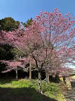 八幡神社(神奈川県)