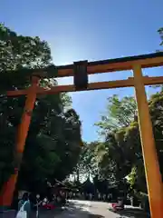 川越氷川神社(埼玉県)