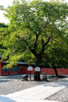 富士山本宮浅間大社(静岡県)
