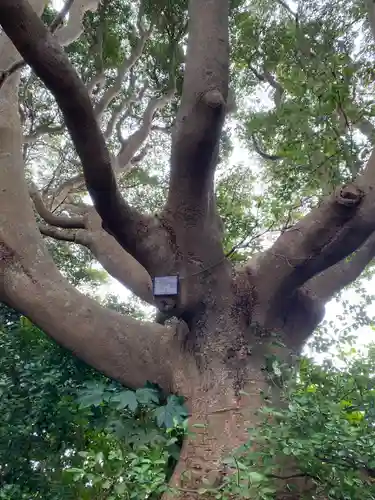 酒列磯前神社(茨城県)
