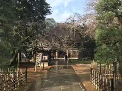 茂林寺(群馬県)