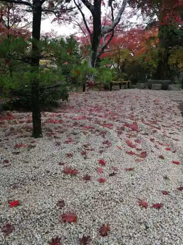 月山寺の庭園