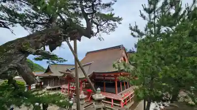 日御碕神社(島根県)