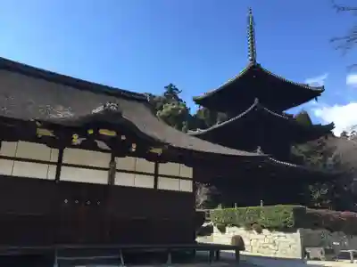 園城寺（三井寺）の本殿・本堂