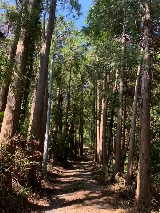 愛宕神社の周辺