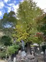 光触寺(神奈川県)