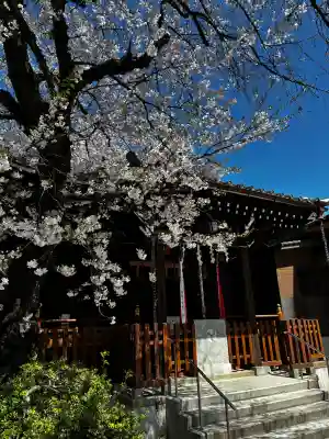萩中神社の{uncategorized: "未分類", other: "その他", undefined: "問題あり", building: "その他建物", grave: "お墓", sacred_gate: "鳥居", guardian: "狛犬", statue: "像", buddha: "仏像", history: "歴史", nature: "自然", garden: "庭園", animal: "動物", pagoda: "塔", temizu: "手水舎", mountain_gate: "山門・神門", sanctuary: "本殿・本堂", subordinate: "末社・摂社", art: "芸術", scenery: "景色", jizo: "地蔵", ema: "絵馬", goshuin: "御朱印", omikuji: "おみくじ", items: "授与品その他", amulet: "お守り", goshuincho: "御朱印帳", eats: "食事", festival: "お祭り", votive_dance: "神楽", shichigosan: "七五三参", wedding: "結婚式", experience: "体験その他", initially: "初詣", around: "周辺", anti_infection: "感染症対策"}