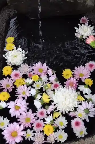 大鏑神社の手水舎