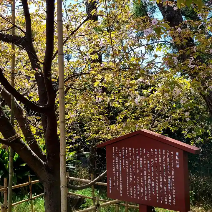 蒲神明宮の自然