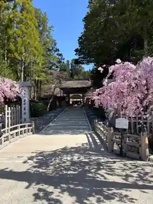 高野山金剛峯寺(和歌山県)