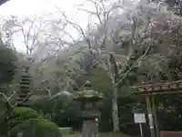 安國論寺(安国論寺)の庭園