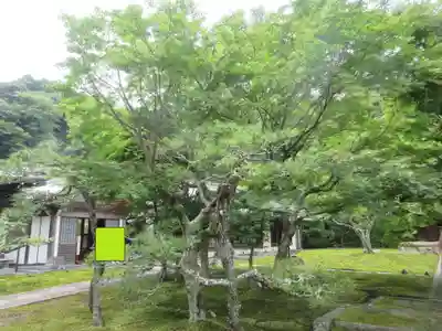 長壽寺（長寿寺）(神奈川県)