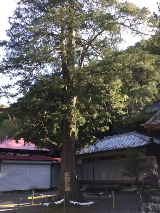 白瀧神社(群馬県)