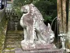 敢國神社の狛犬