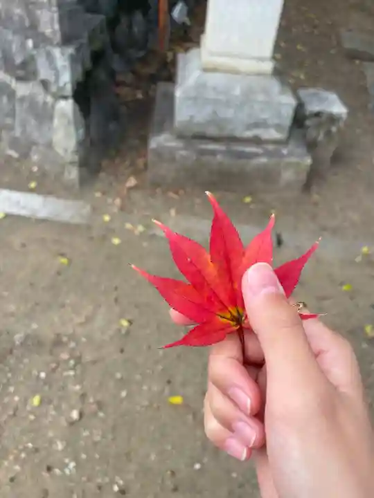 貴船神社(岐阜県)