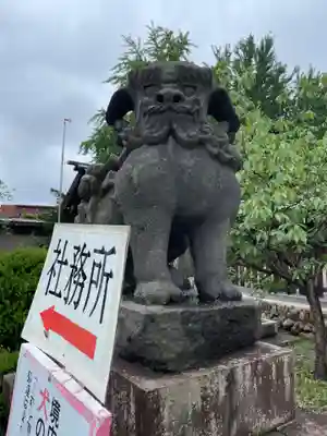 ダンディーで優しそうな狛犬さん。