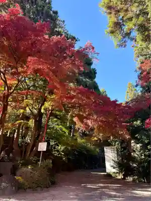 渋川八幡宮(群馬県)