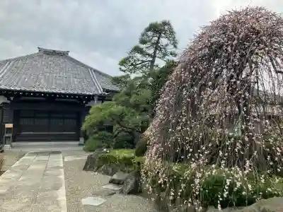南之院の{uncategorized: "未分類", other: "その他", undefined: "問題あり", building: "その他建物", grave: "お墓", sacred_gate: "鳥居", guardian: "狛犬", statue: "像", buddha: "仏像", history: "歴史", nature: "自然", garden: "庭園", animal: "動物", pagoda: "塔", temizu: "手水舎", mountain_gate: "山門・神門", sanctuary: "本殿・本堂", subordinate: "末社・摂社", art: "芸術", scenery: "景色", jizo: "地蔵", ema: "絵馬", goshuin: "御朱印", omikuji: "おみくじ", items: "授与品その他", amulet: "お守り", goshuincho: "御朱印帳", eats: "食事", festival: "お祭り", votive_dance: "神楽", shichigosan: "七五三参", wedding: "結婚式", experience: "体験その他", initially: "初詣", around: "周辺", anti_infection: "感染症対策"}