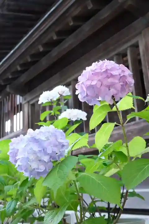 十日恵比須神社(福岡県)
