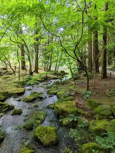 成田山新勝寺の庭園