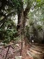 姫大神社(奈良県)